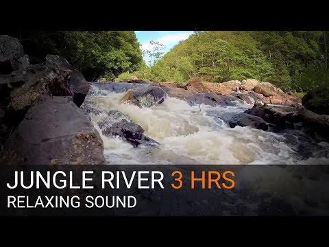 JUNGLE RIVER - SLEEP SOUND & VIDEO - 3 HOURS