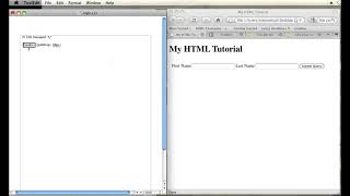 How to Create a Split Border in HTML