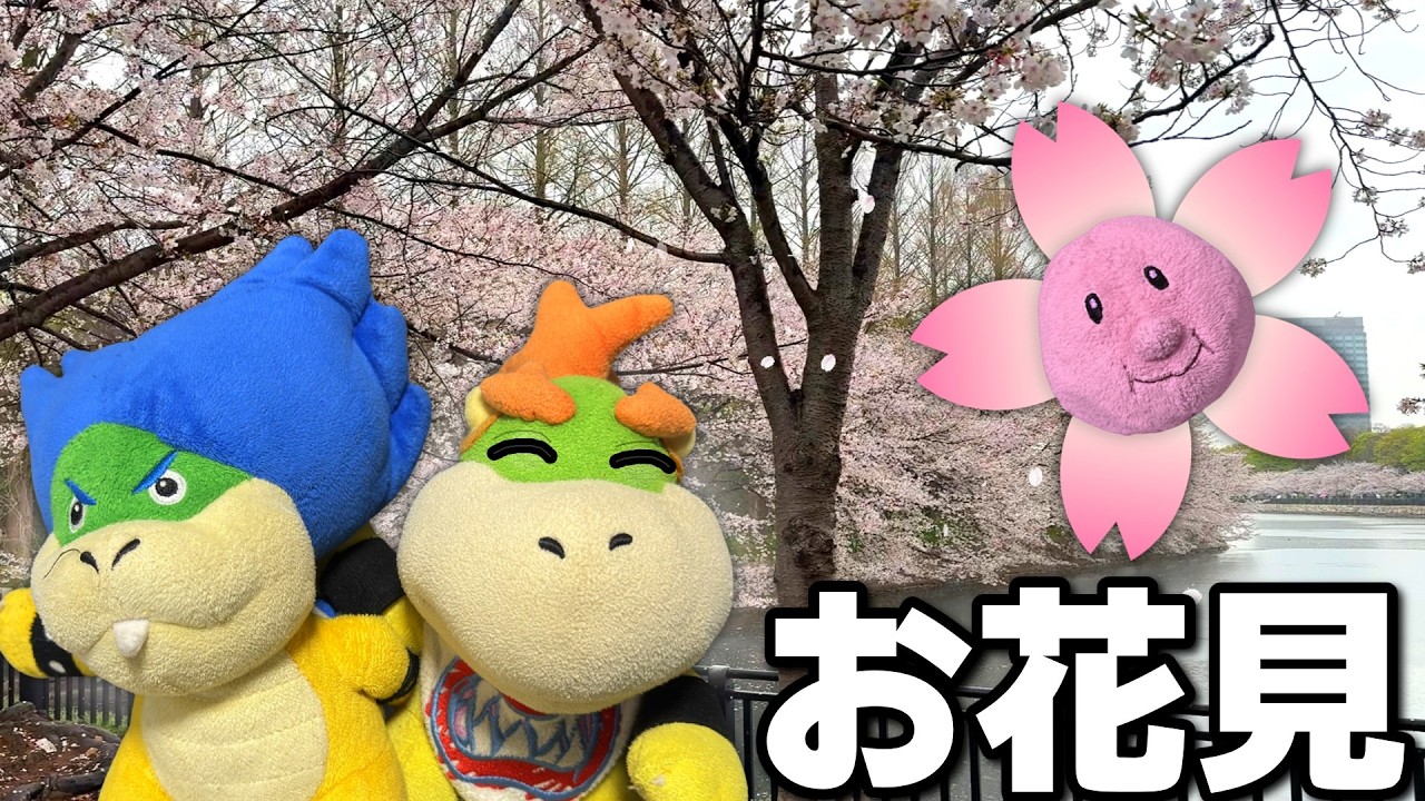 クッパJr、お花見に行く！