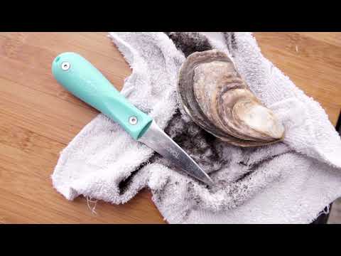 download lagu mp3 mp4 Toadfish Oyster Knife Review, download lagu Toadfish Oyster Knife Review gratis, unduh video klip Toadfish Oyster Knife Review