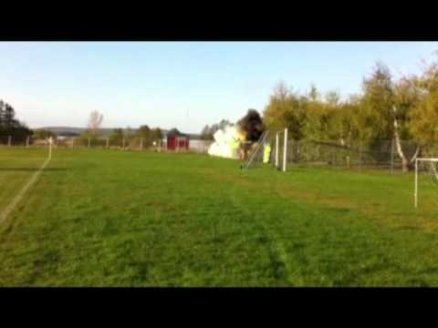 KIABY FANATICS - Vinslöv hemma div 5