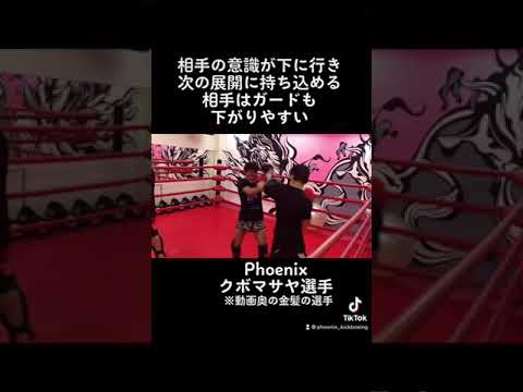 蹴りが得意なサウスポーは、ミドルを中心にした戦略も。