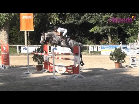 Quincy & Jan Müller in Waiblingen 2017