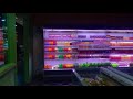 Oliver tree - im gone (slowed + reverb)