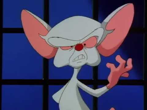 Minus et Cortex  le vrai générique