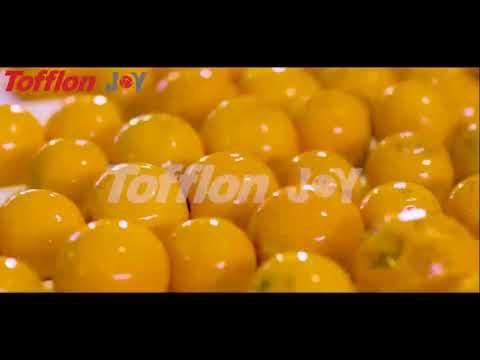 NFC fresh orange juice production line