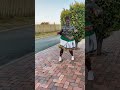 Tsonga Dance