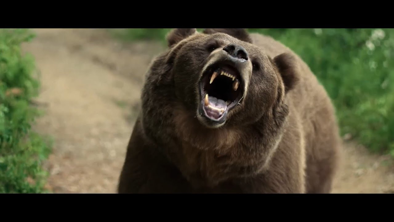 GRIZZLY NIGHT Trailer (2026) SUBTITULADO [HD]
