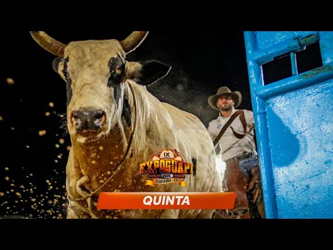 Rodeio da EXPO GUAPI 2024 / Guapirama - PR (QUINTA / MELHORES MOMENTOS)