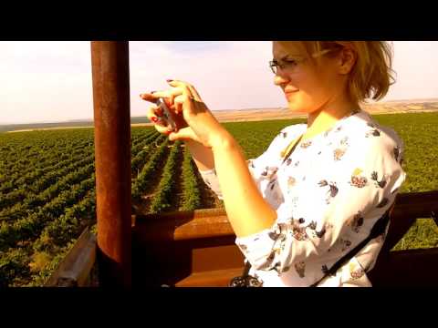 Casa de vinuri Cotnari; o privire de ansamblu