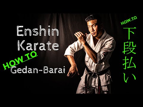二宮城太「下段払いの説明」How to Gedan Barai