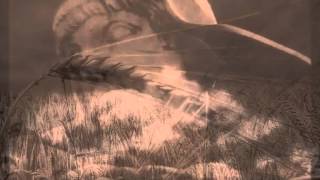 Death In June - He&#39;s Disabled