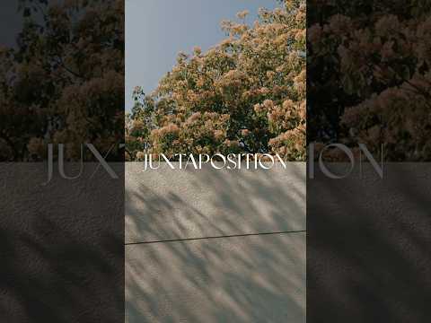 🧑🏻‍🏫 #JUXTAPOSITION Explained