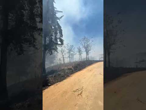 Salvaron los pichoncitos y no la moto #salvaronpichon #quemamoto #incendio #chintoaventuras