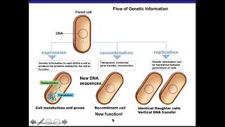 Ch 8 Microbial Genetics Part 1