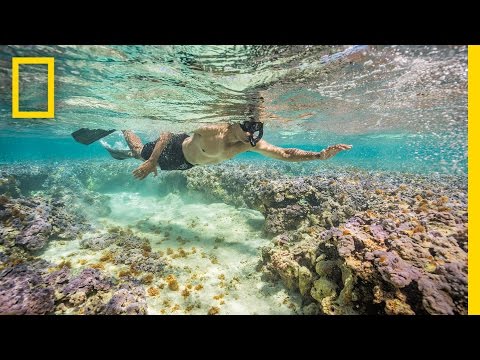 Snorkeling With President Obama: How Our Photographer Got the Shot (Exclusive) | National Geographic