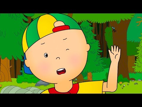 Caillou and the Mosquito | Caillou Cartoon