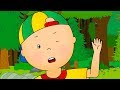 Caillou And The Mosquito Caillou Cartoon