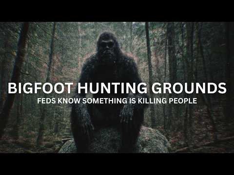 Sasquatch Kill Zone: Why This Campsite Was Quietly Removed From Maps