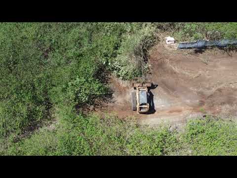 MAJOR machines, Brush clearing on LARGE site!. #bulldozer #skidsteer #brushclearing 