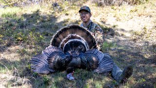 It Happens Quick! - Hunting for Gobbler Strut Shows!