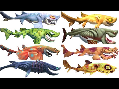 ALL HEIDI WOBBEGONG SHARK FAMILY ! Hungry Shark World VS Hungry Shark Heroes