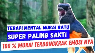 Download lagu Pancingan Mental Murai Batu Ter Sadis Jadikan Mura... mp3