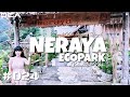Neraya Ecopark Surga di Kaki Gunung Sibayak Berastagi Medan