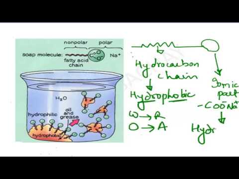 SCIENCE |CHEMISTRY |PPSC PREVIOUS YEAR QUESTIONS|  Part6 |  HEADMASTER | PRINCIPAL| BPEO |PCS|2020 Video