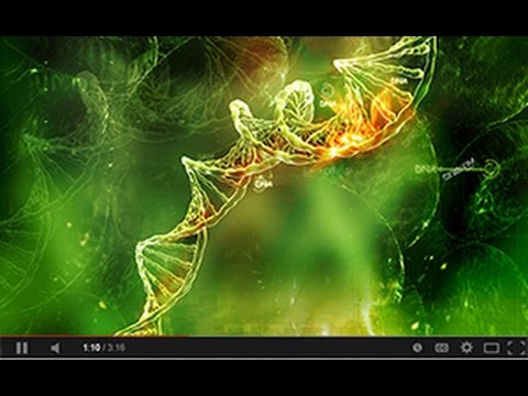 Spiritual Genome Book Trailer