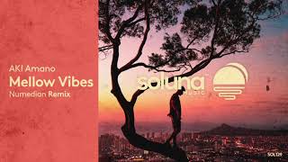 AKI Amano - Mellow Vibes (Numedian Remix) [Soluna Music]