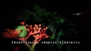 Download lagu story wa 'dimana kau-closehead' || cover by dwitanty mp3