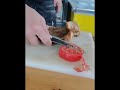 龍泉屠宰手工鍛打剔骨刀