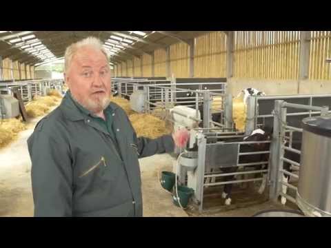 Forster Technik Calf Feeders & Milch Mobil - Image 2