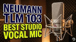 Neumann TLM 103 Review: The Best Professional Vocal Mic for Your Home Studio?