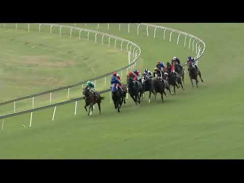 2021.03.06 Hawaii Stakes (RSA) - Mk's Pride