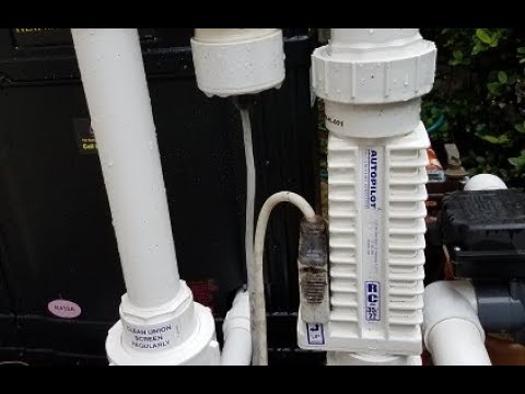 Salt water versus chlorine puck feeders