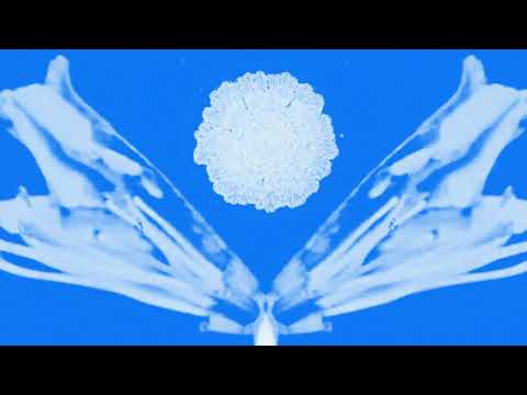 Ghost House (Performed by Jeremy Dutcher)