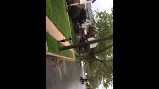 Wild-n-out bike life 516