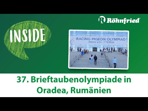 Röhnfried Inside: Brieftaubenolympiade 2022 in Oradea, Rumänien