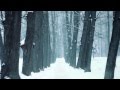 Justin Vernon - Your Love (FANMADE MUSIC VIDEO ...