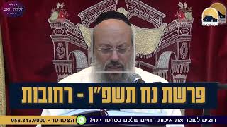 פרשת נח | צדיק… אבל נורמלי? | אמונה או עצלות בתחפושת ᴴᴰ (הרב שי עטרי) - התמונה מוצגת ישירות מתוך אתר האינטרנט יוטיוב. זכויות היוצרים בתמונה שייכות ליוצרה. קישור קרדיט למקור התוכן נמצא בתוך דף הסרטון