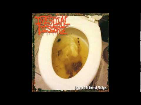 Intestinal Disgorge - Swimming In Child Innards