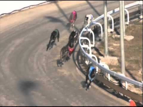 Canberra 22112015 Race 4