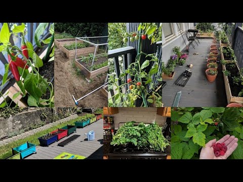 Building mobile and web applications using NET macOS and Visual Studio for Mac BRK3018