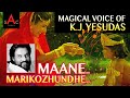 Mane Marikozhundhe Tamil Evergreen Hit Songs KJ Yesudas Tamil Hit Songs Tamil Songs