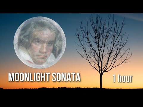 Moonlight Sonata 1st Movement Extended | Classical Music for Study or Relaxing | 1 hour
