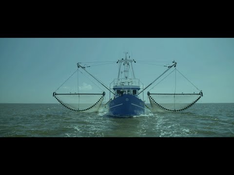 FAYZEN - Zu Hause / Zeig mir den Weg (Official Video)