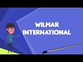 What Is Wilmar International Explain Wilmar International Define Wilmar International