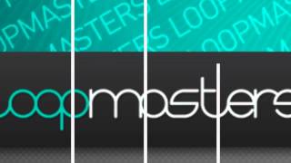 Video thumbnail for Electro House - Massive Presets by Loopcloud